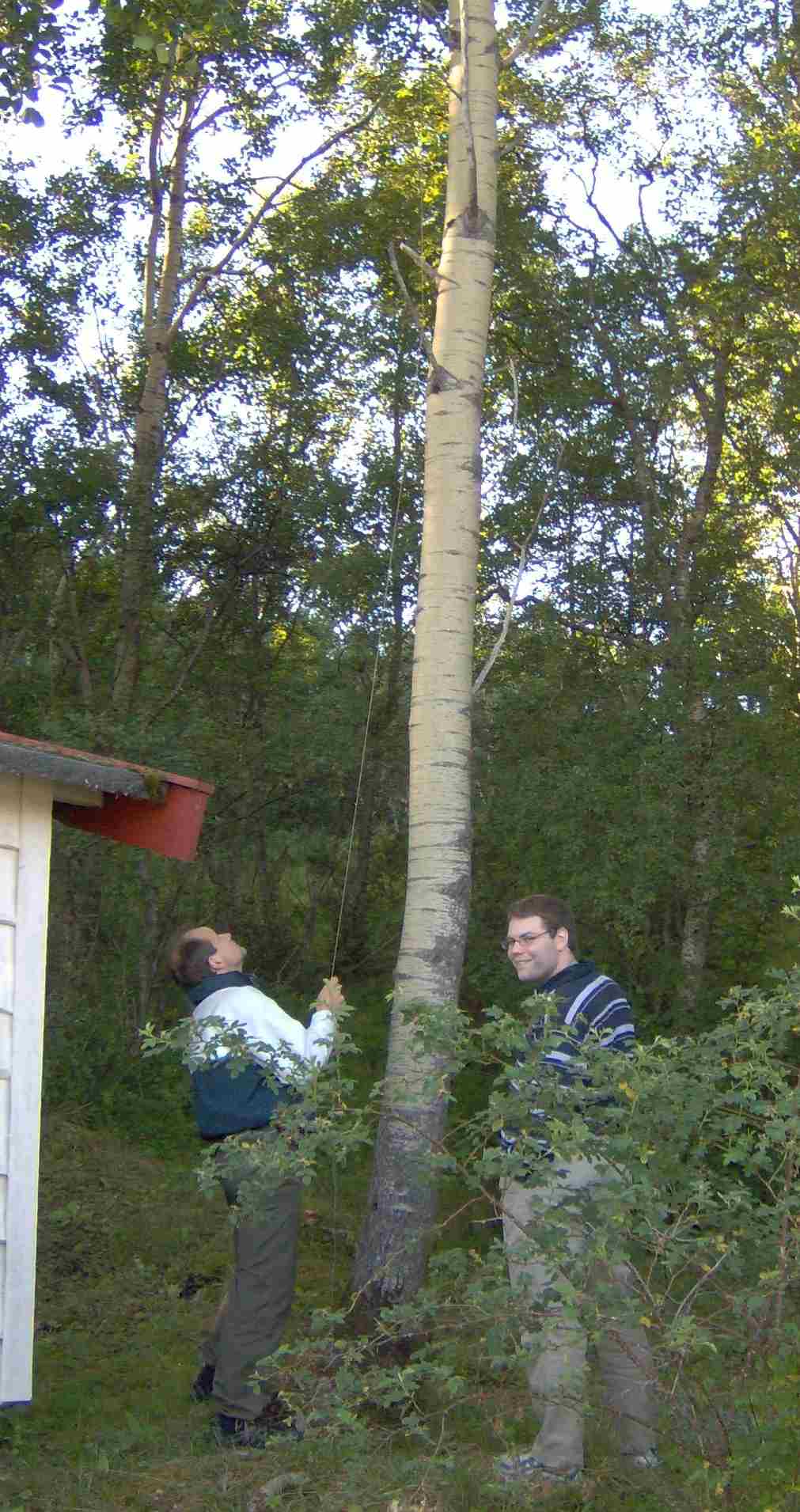 Antennebygging (stealth)